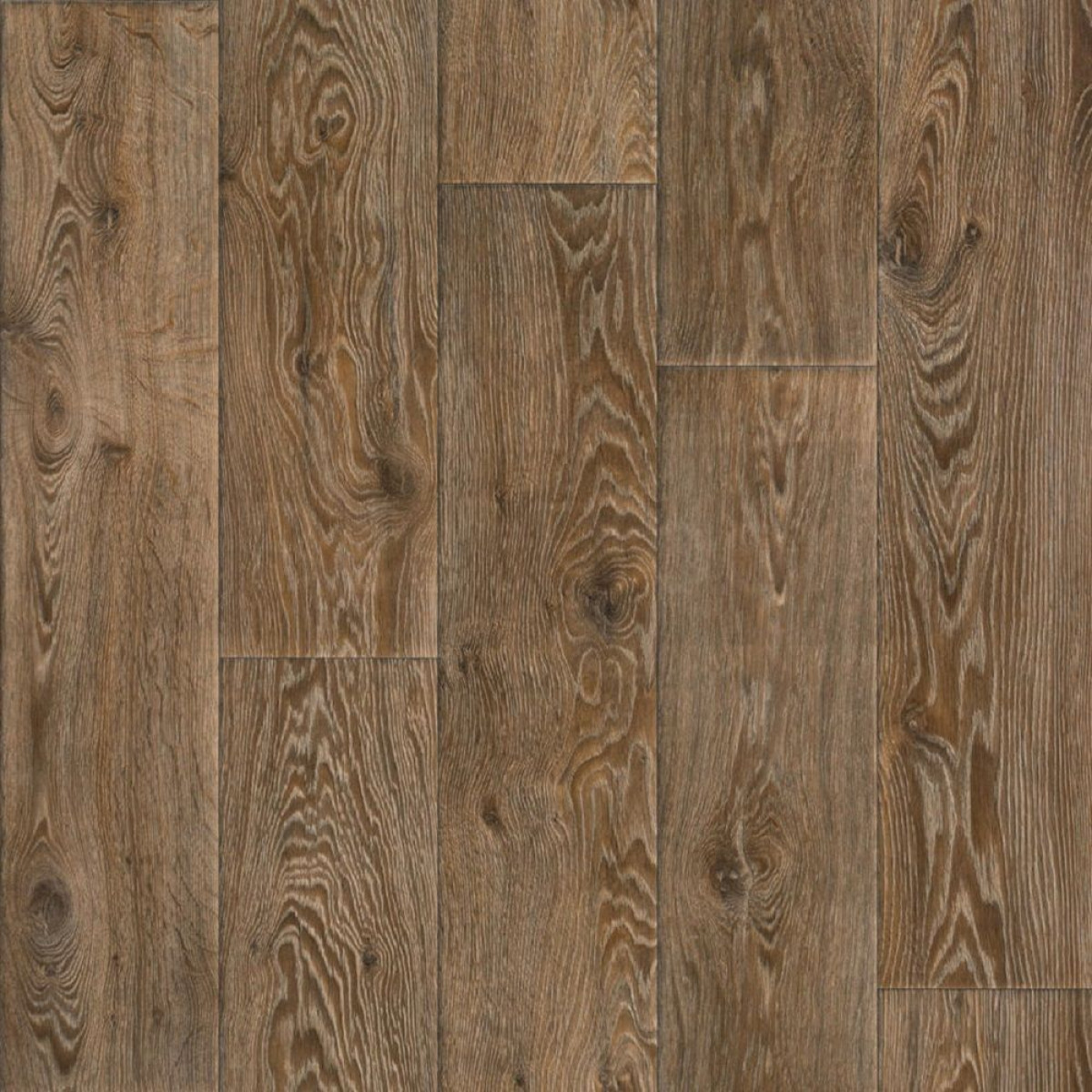 Лінолеум Tarkett Evolution Raymond 4 (2.5м)